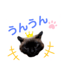 バニラとガゼル 2（個別スタンプ：2）