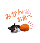 バニラとガゼル 2（個別スタンプ：3）