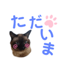 バニラとガゼル 2（個別スタンプ：4）