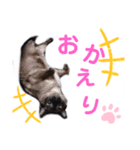 バニラとガゼル 2（個別スタンプ：5）