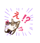 バニラとガゼル 2（個別スタンプ：6）