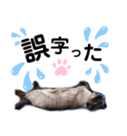 バニラとガゼル 2（個別スタンプ：7）