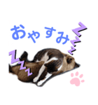 バニラとガゼル 2（個別スタンプ：10）