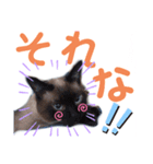 バニラとガゼル 2（個別スタンプ：11）