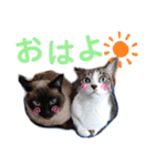 バニラとガゼル 2（個別スタンプ：13）