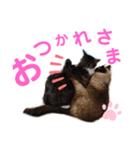 バニラとガゼル 2（個別スタンプ：14）