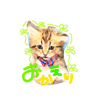 バロンスタンプ☆！（個別スタンプ：5）