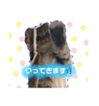 バロンスタンプ☆！（個別スタンプ：11）