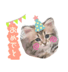 バロンスタンプ☆！（個別スタンプ：16）