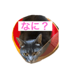 マリオとちび（個別スタンプ：6）