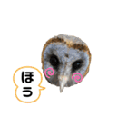 ブラウニーと3匹のネコ（個別スタンプ：36）