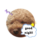 yuma_yuma2（個別スタンプ：1）
