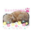yuma_yuma2（個別スタンプ：4）