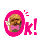 yuma_yuma2（個別スタンプ：6）