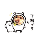 yuma_yuma2（個別スタンプ：13）