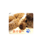 yuma_yuma2（個別スタンプ：15）