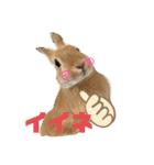 うさぎのRockyの日常3（個別スタンプ：3）