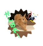 うさぎのRockyの日常3（個別スタンプ：9）