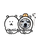 MY Dog(*´ω｀*)（個別スタンプ：11）