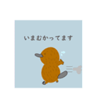 かものはしくんスタンプ 2（個別スタンプ：11）