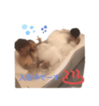 ときねねスタンプ（個別スタンプ：3）