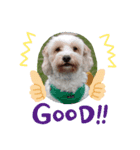 あさdog2（個別スタンプ：3）