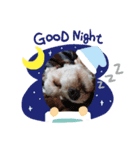 あさdog2（個別スタンプ：4）