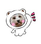 あさdog2（個別スタンプ：6）
