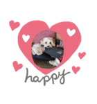 あさdog2（個別スタンプ：7）