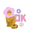 ねこのパトラッシュ（個別スタンプ：1）