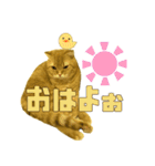 ねこのパトラッシュ（個別スタンプ：3）