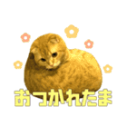 ねこのパトラッシュ（個別スタンプ：6）
