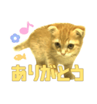 ねこのパトラッシュ（個別スタンプ：8）