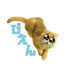 ねこのパトラッシュ（個別スタンプ：9）