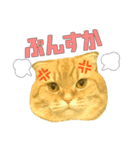 ねこのパトラッシュ（個別スタンプ：11）
