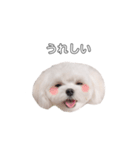 ももぴすたんぷ（1)（個別スタンプ：6）