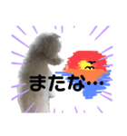 僕、ハル。（個別スタンプ：5）