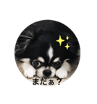 よっつん1（個別スタンプ：1）