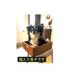 よっつん1（個別スタンプ：5）