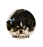 よっつん1（個別スタンプ：6）