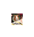 そうよね。。（個別スタンプ：5）