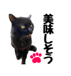 まみ ねこまみれ2（個別スタンプ：6）