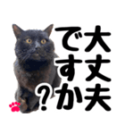 まみ ねこまみれ2（個別スタンプ：26）