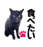 まみ ねこまみれ2（個別スタンプ：27）