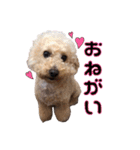 Jackie＆Palm 2（個別スタンプ：16）