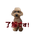 Jackie＆Palm 2（個別スタンプ：18）