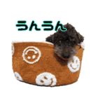 Jackie＆Palm 2（個別スタンプ：19）