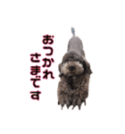 Jackie＆Palm 2（個別スタンプ：21）