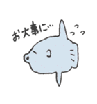 朗らかな牡蠣【まあまあ使える日常会話編】（個別スタンプ：29）