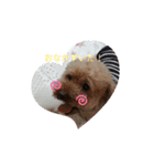 チョッパー、まるのスタンプ（個別スタンプ：10）